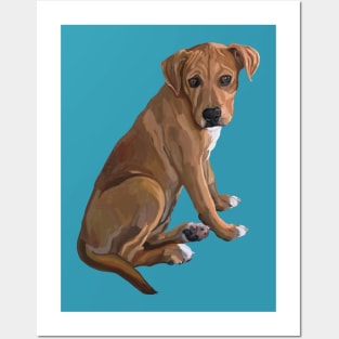 Sweet Brown Pitbull Mix Dog Posters and Art